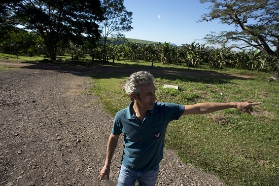 ITIRAPINA, SP 01.06.2017 - Fazenda da Toca - TOP FARMERS - Pedro Paulo Diniz, Fazenda produtora de ôrganicos no interior de S. Paulo. foto: Emiliano Capozoli