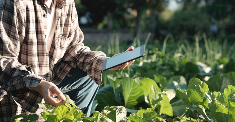 7 apps de celular para experimentar a vida na fazenda - AgroSaber