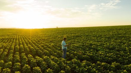 Entenda por que o game Farming Simulator está entrando no mundo dos  e-Sports - StartAgro